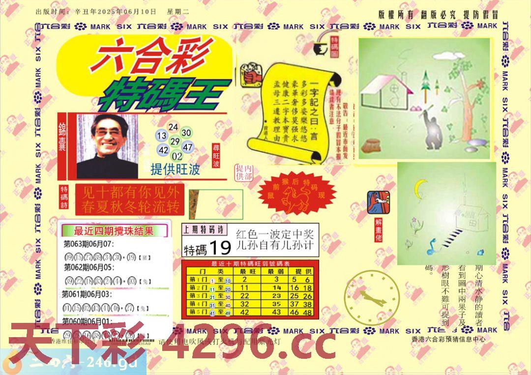 ：特码王